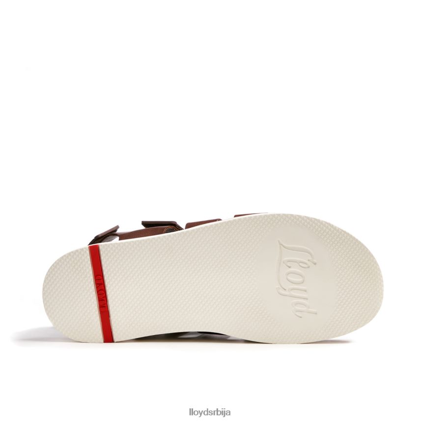 елимар мушкарци D0806T583 ципеле браон LLOYD