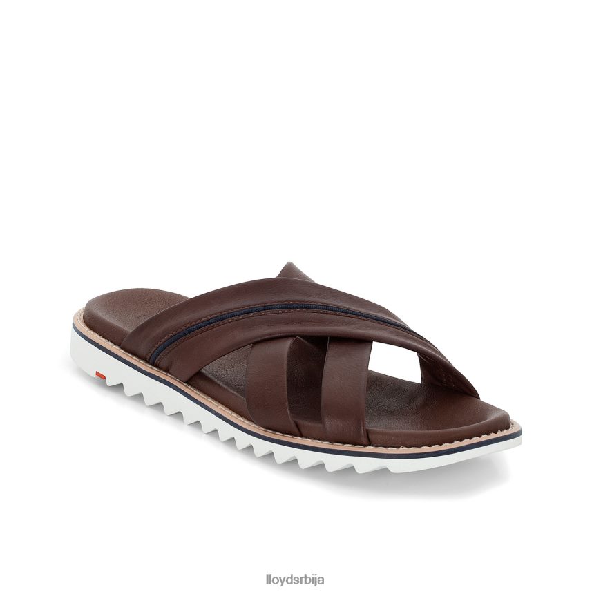 едвино мушкарци D0806T584 ципеле браон LLOYD