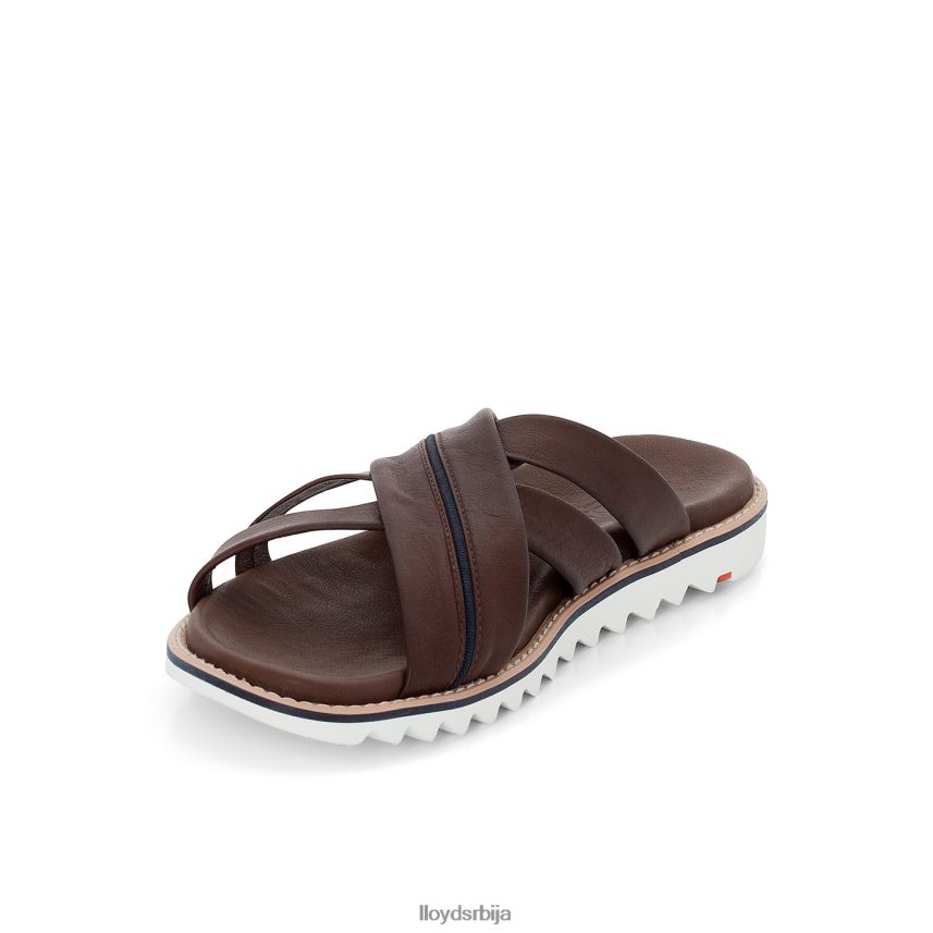 едвино мушкарци D0806T584 ципеле браон LLOYD