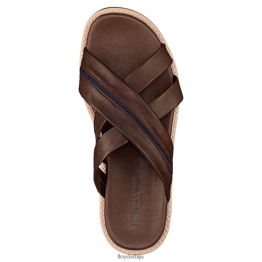 едвино мушкарци D0806T584 ципеле браон LLOYD