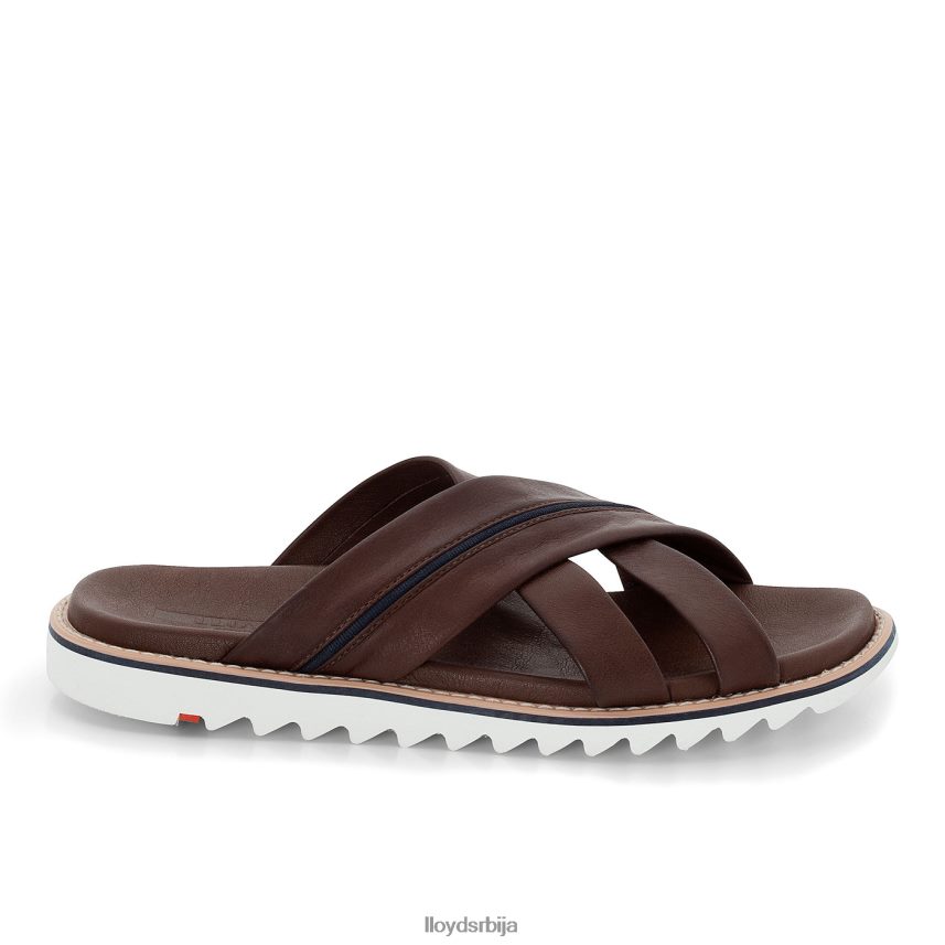 едвино мушкарци D0806T584 ципеле браон LLOYD