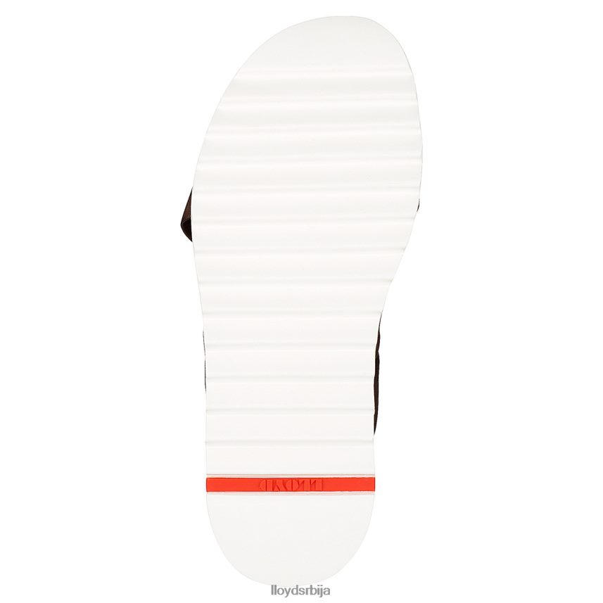 едвино мушкарци D0806T584 ципеле браон LLOYD