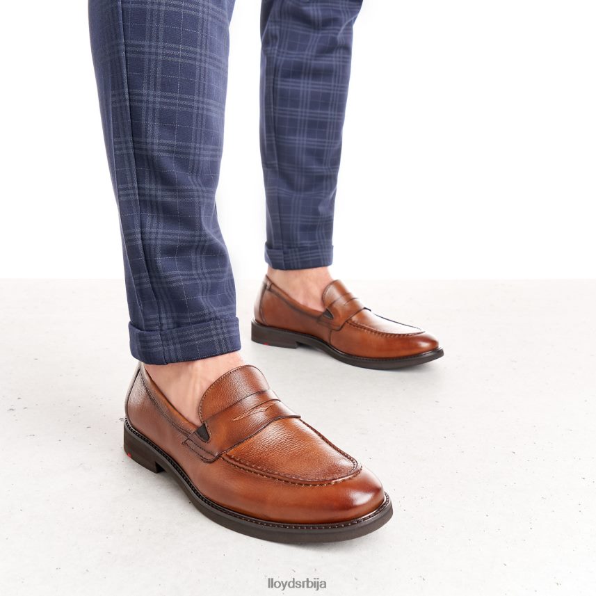 рег мушкарци D0806T169 ципеле браон LLOYD