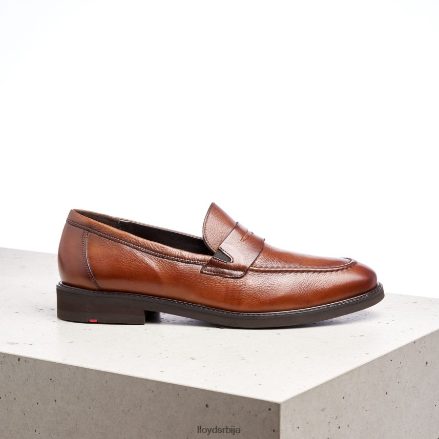 рег мушкарци D0806T169 ципеле браон LLOYD