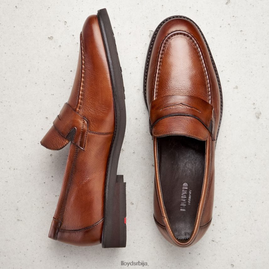 рег мушкарци D0806T169 ципеле браон LLOYD