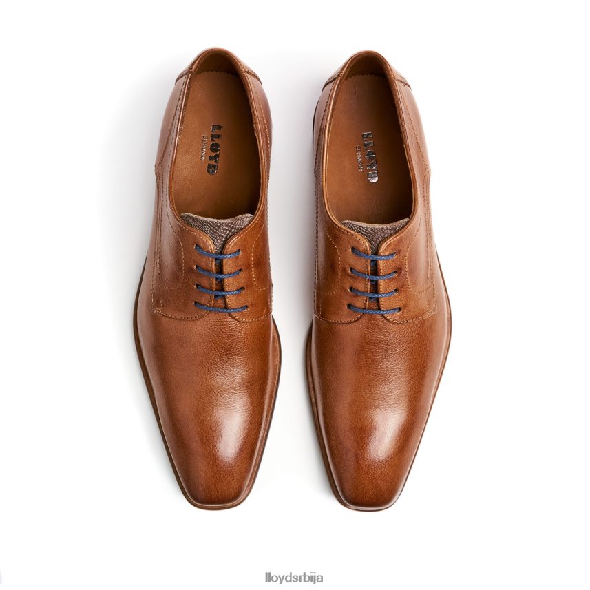 дон мушкарци D0806T109 ципеле браон LLOYD