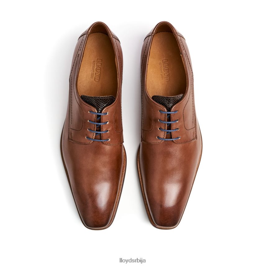 дон мушкарци D0806T112 ципеле браон LLOYD