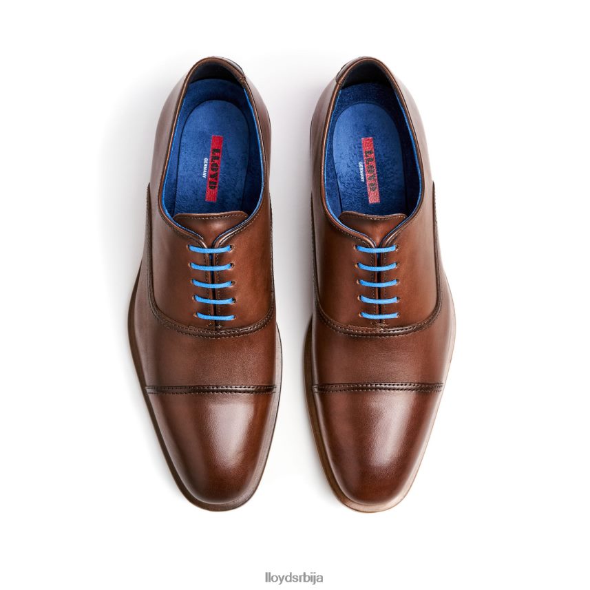 пљачкати мушкарци D0806T130 ципеле браон LLOYD