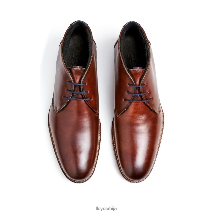 вердон мушкарци D0806T138 ципеле браон LLOYD