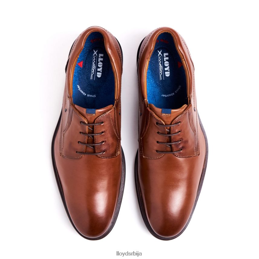 кос (ктравиде) мушкарци D0806T142 ципеле браон LLOYD