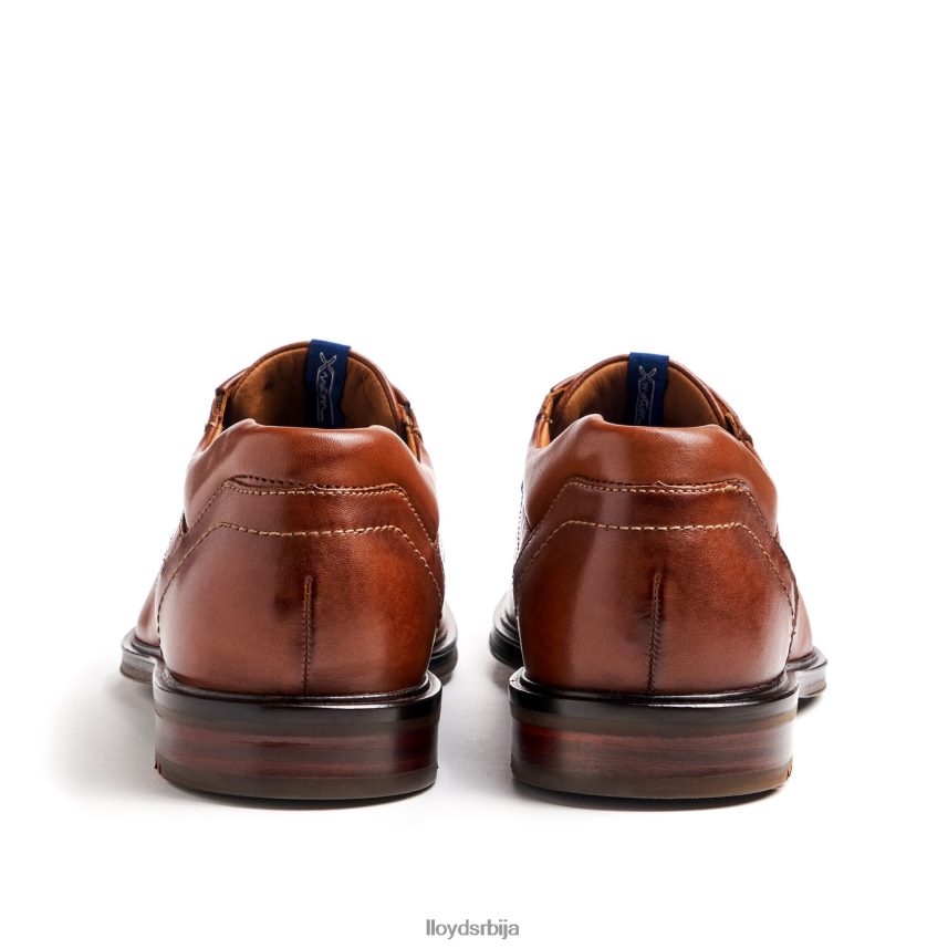 кос (ктравиде) мушкарци D0806T142 ципеле браон LLOYD