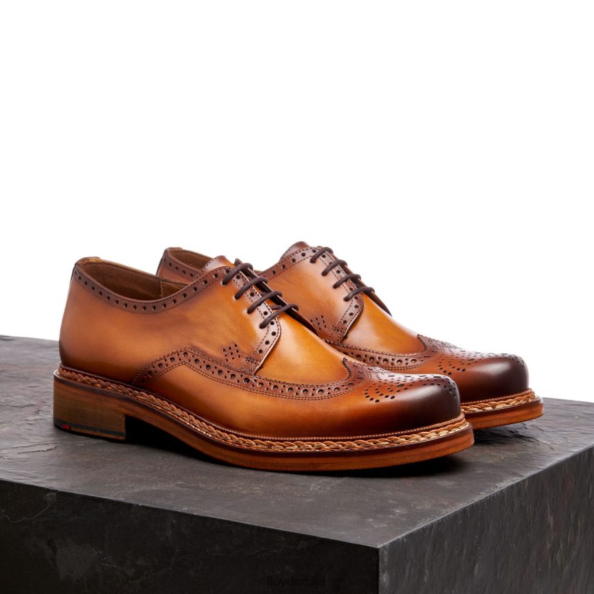 вотан мушкарци D0806T163 ципеле браон LLOYD