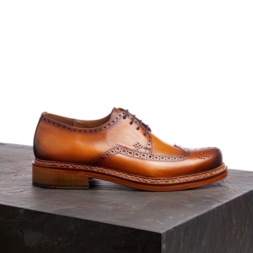 вотан мушкарци D0806T163 ципеле браон LLOYD