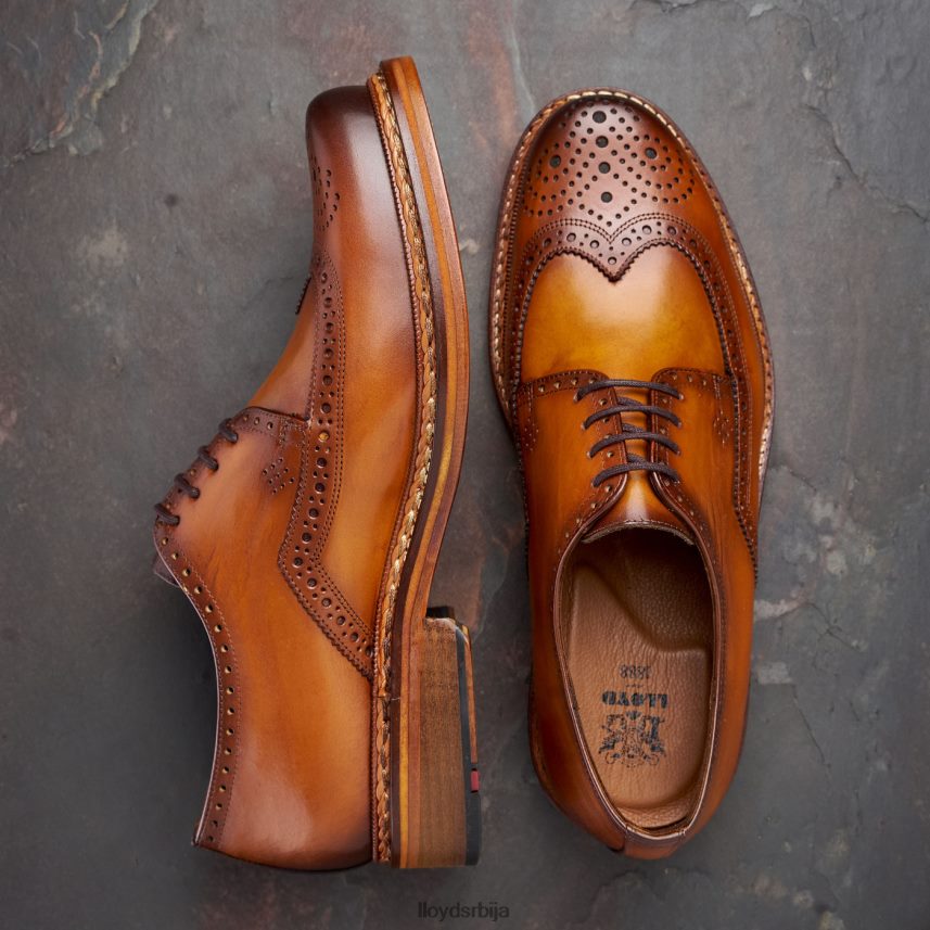 вотан мушкарци D0806T163 ципеле браон LLOYD