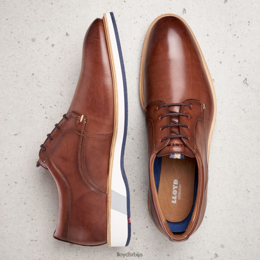 нептун мушкарци D0806T218 ципеле браон LLOYD