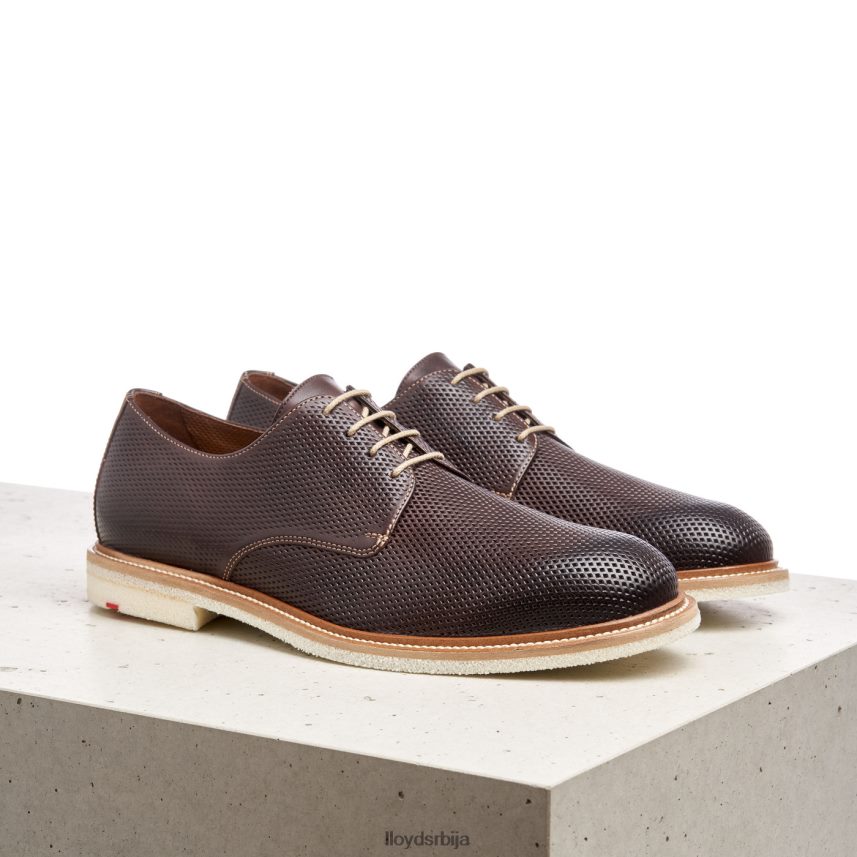 палма мушкарци D0806T226 ципеле браон LLOYD