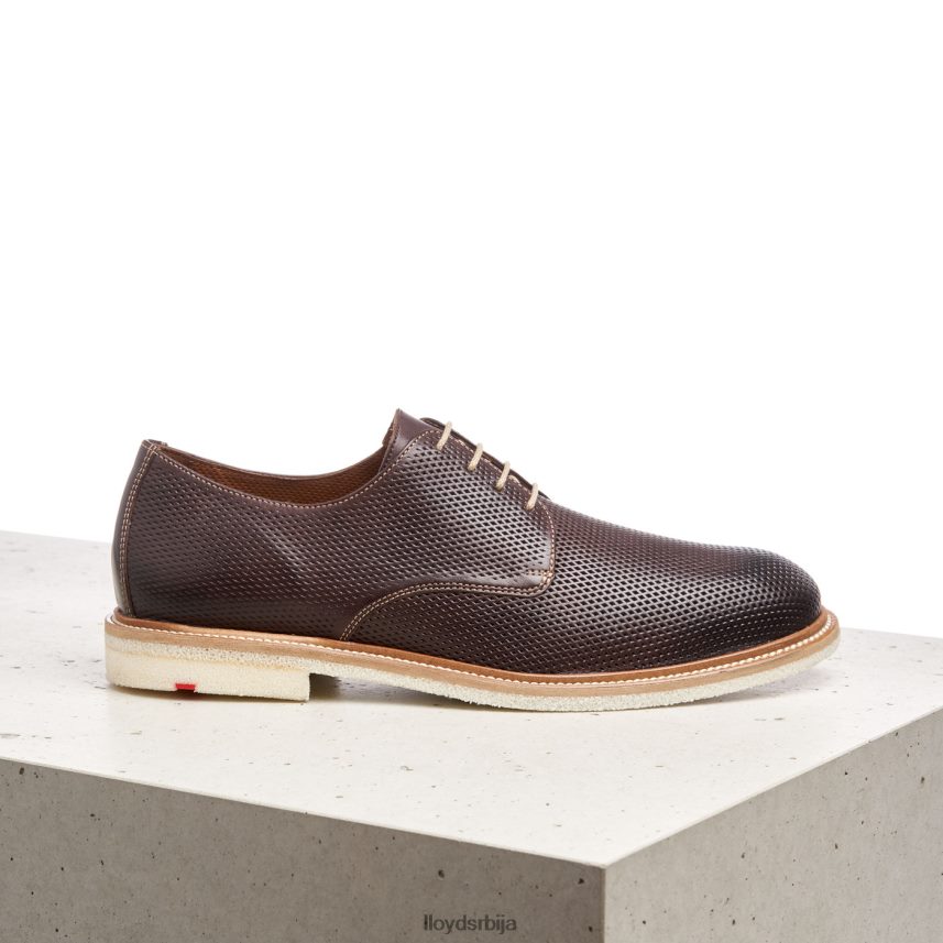 палма мушкарци D0806T226 ципеле браон LLOYD