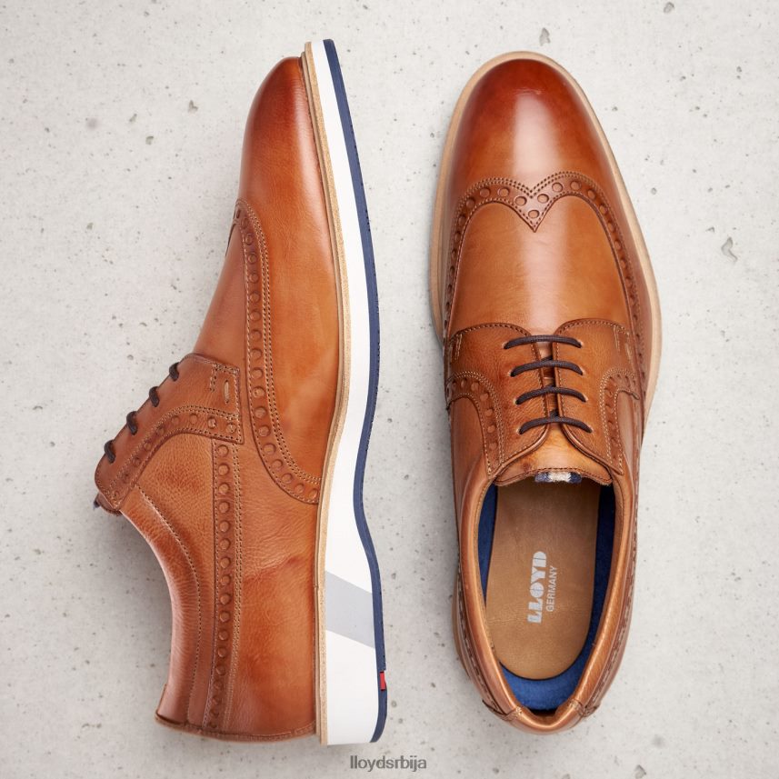 нафир мушкарци D0806T247 ципеле браон LLOYD