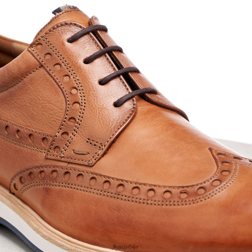 нафир мушкарци D0806T247 ципеле браон LLOYD