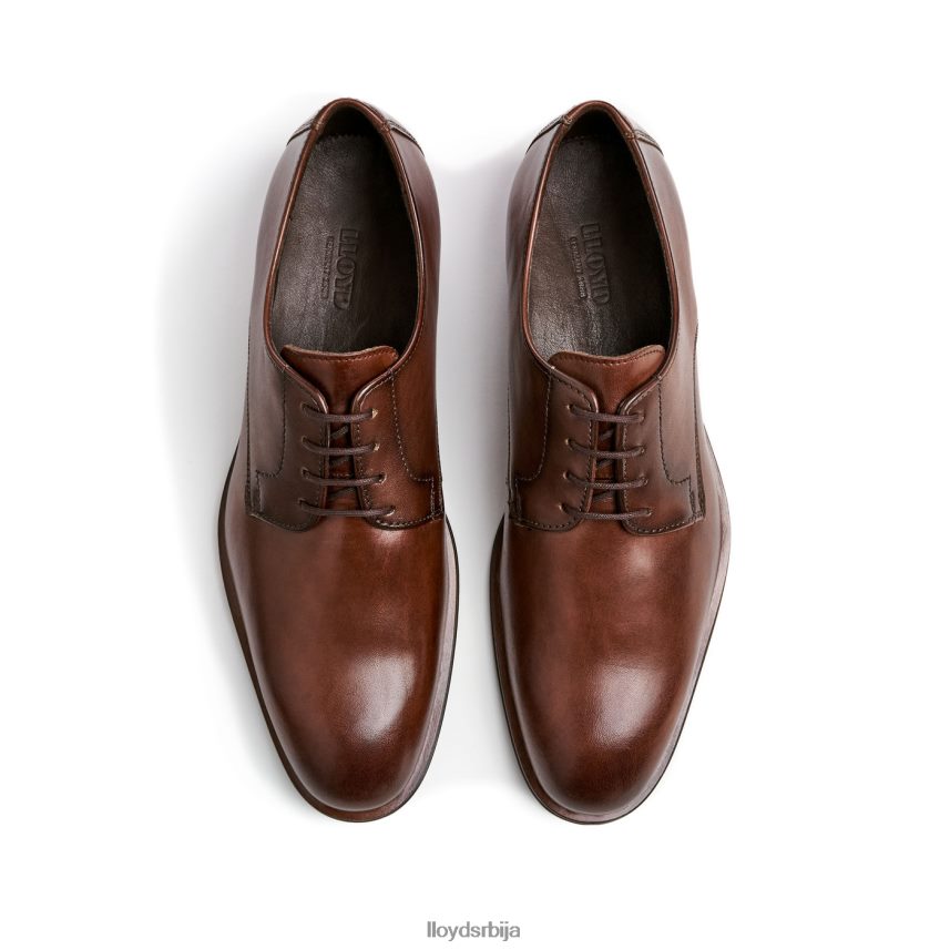 сабља мушкарци D0806T2 ципеле браон LLOYD