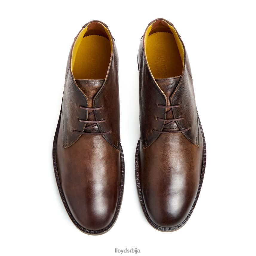 војвода мушкарци D0806T43 ципеле браон LLOYD