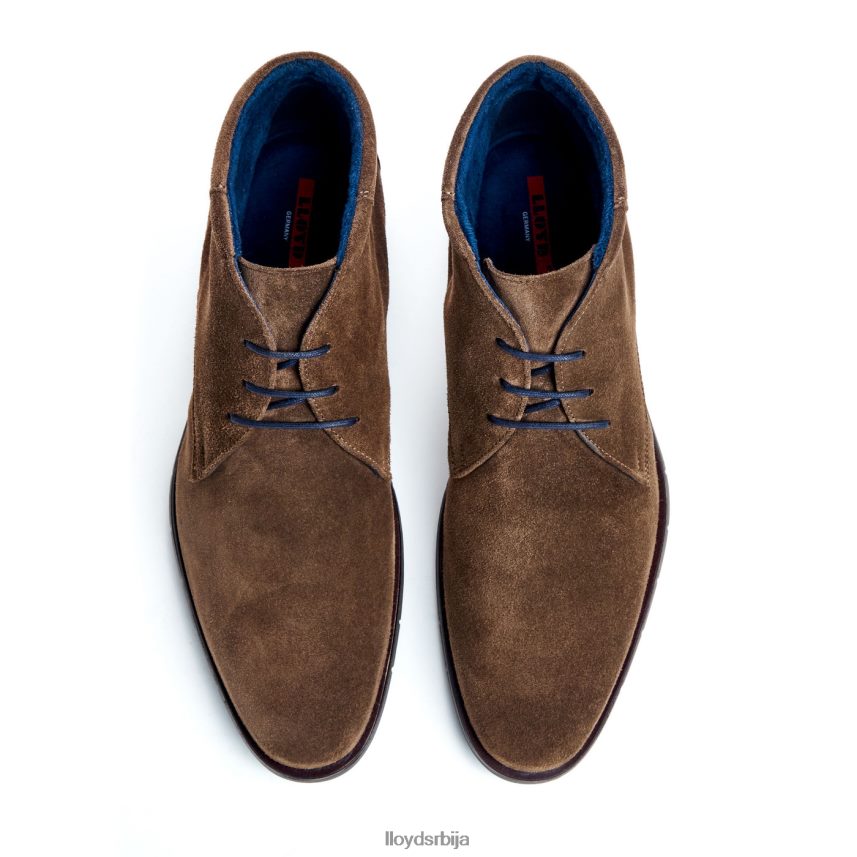 тамар мушкарци D0806T49 ципеле браон LLOYD