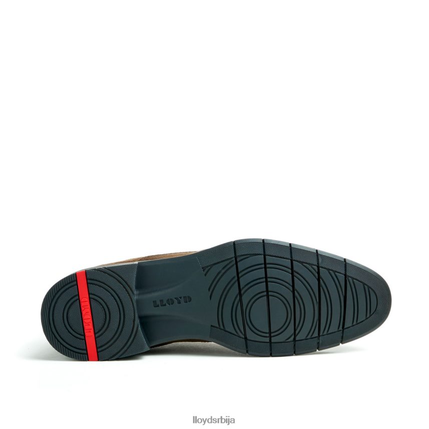 тамар мушкарци D0806T49 ципеле браон LLOYD