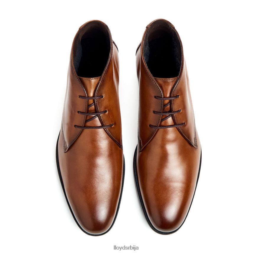 фелициано мушкарци D0806T54 ципеле браон LLOYD