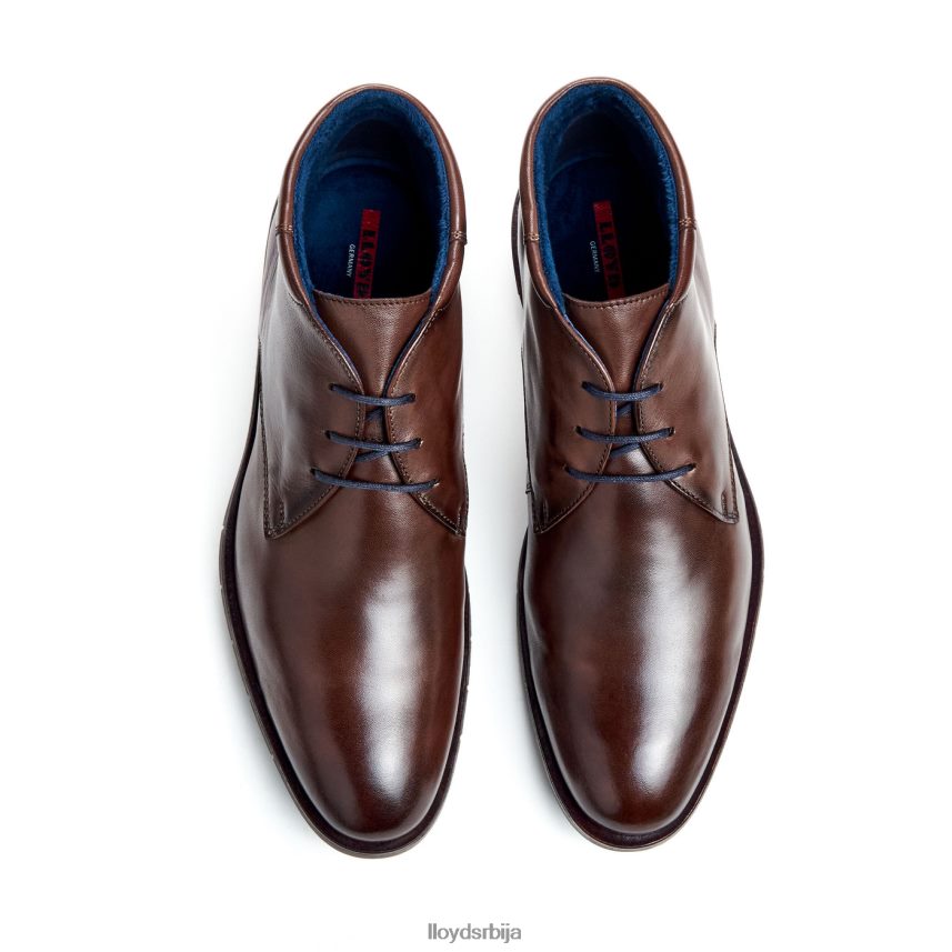 тамар мушкарци D0806T55 ципеле браон LLOYD