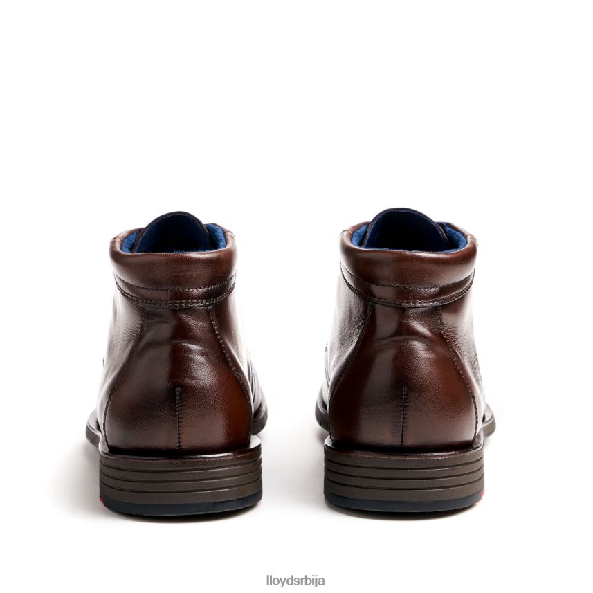 тамар мушкарци D0806T55 ципеле браон LLOYD