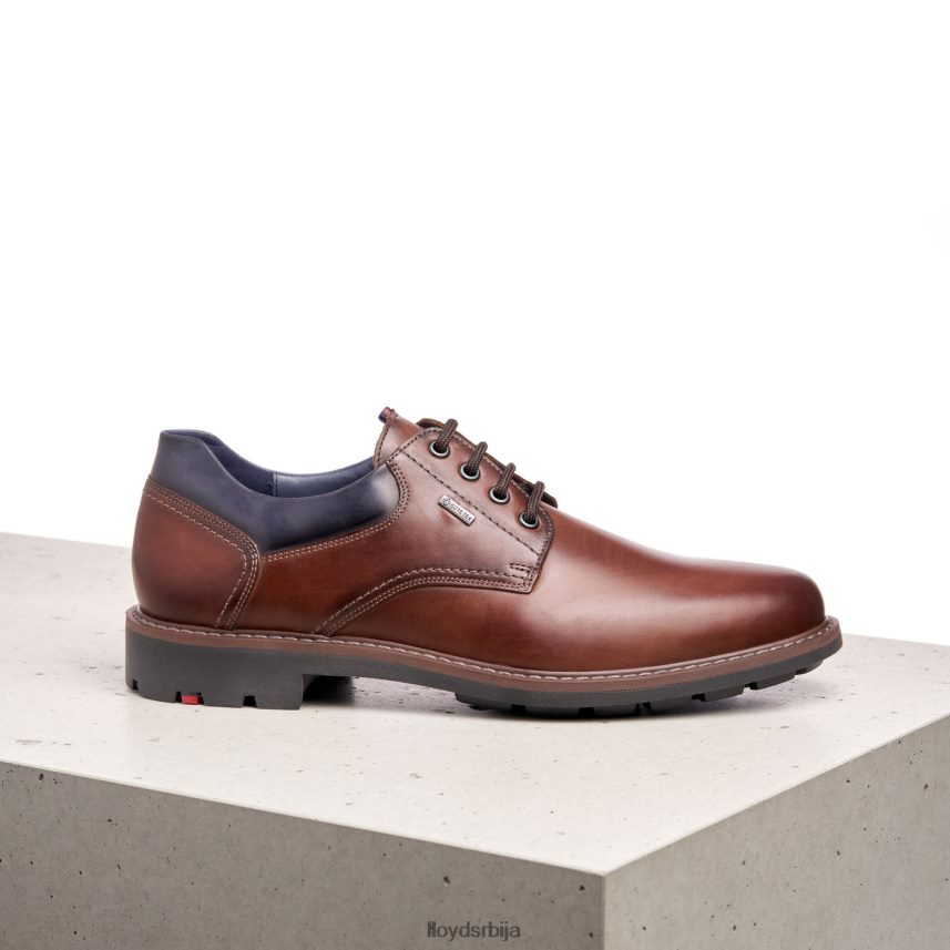 вања мушкарци D0806T576 ципеле браон LLOYD