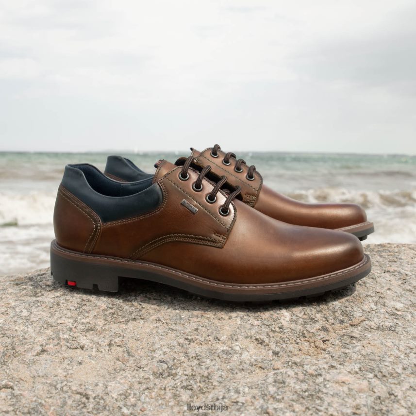 вања мушкарци D0806T576 ципеле браон LLOYD