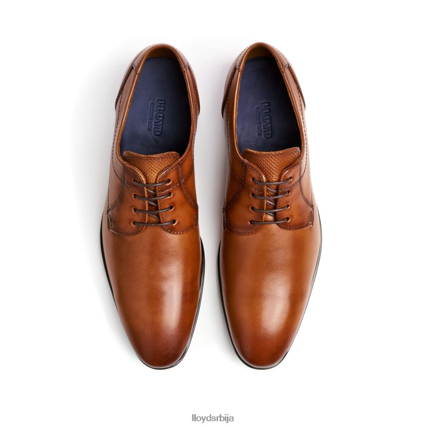 осмонд мушкарци D0806T84 ципеле браон LLOYD