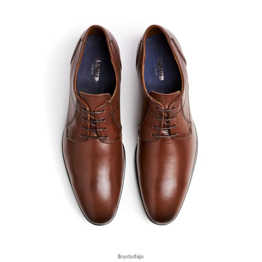 осмонд мушкарци D0806T85 ципеле браон LLOYD