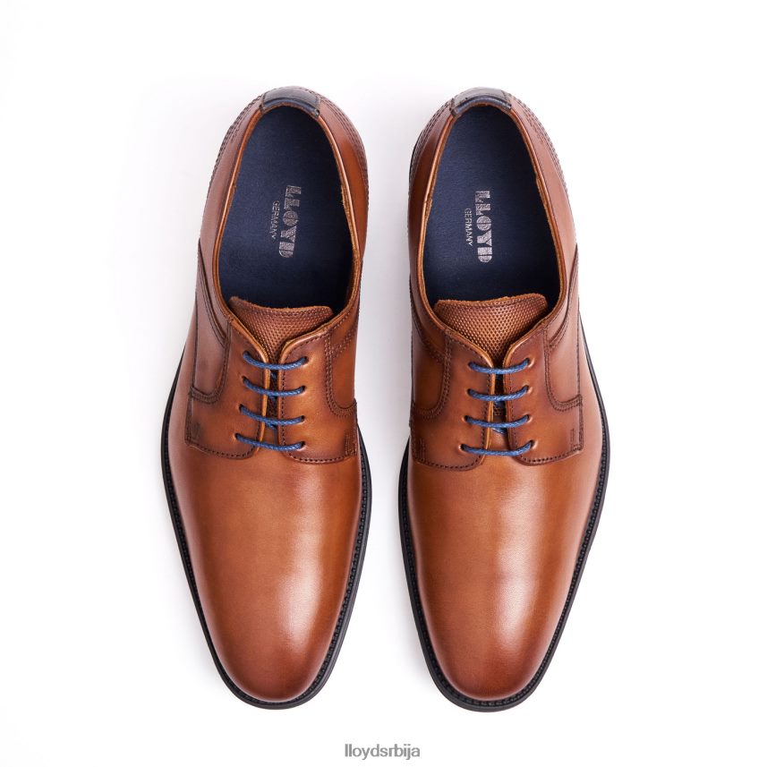 гала мушкарци D0806T102 ципеле браон LLOYD