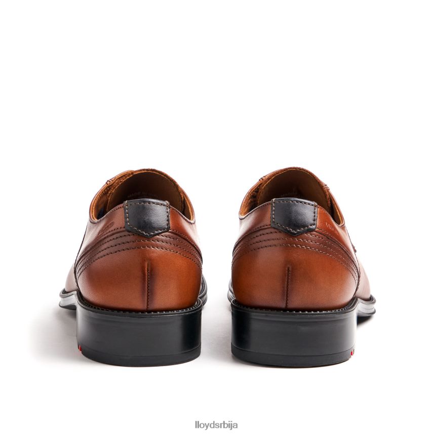 гала мушкарци D0806T102 ципеле браон LLOYD