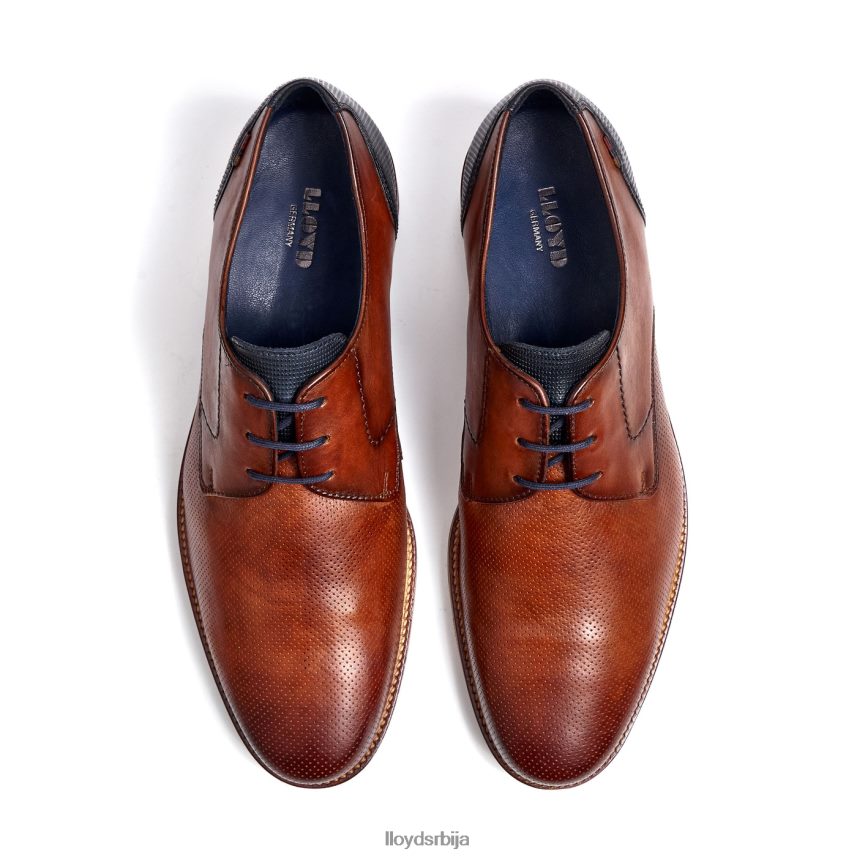 лагос мушкарци D0806T105 ципеле браон LLOYD