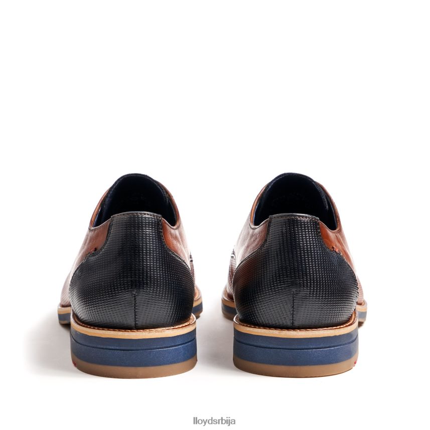 лагос мушкарци D0806T105 ципеле браон LLOYD