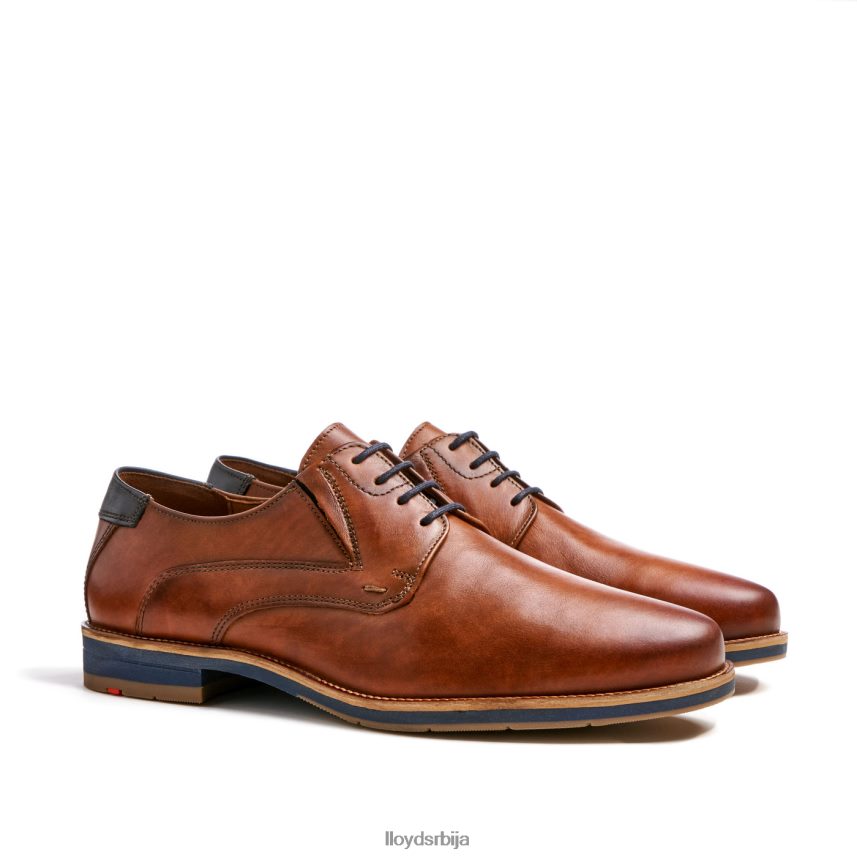 казан (ктравиде) мушкарци D0806T110 ципеле браон LLOYD