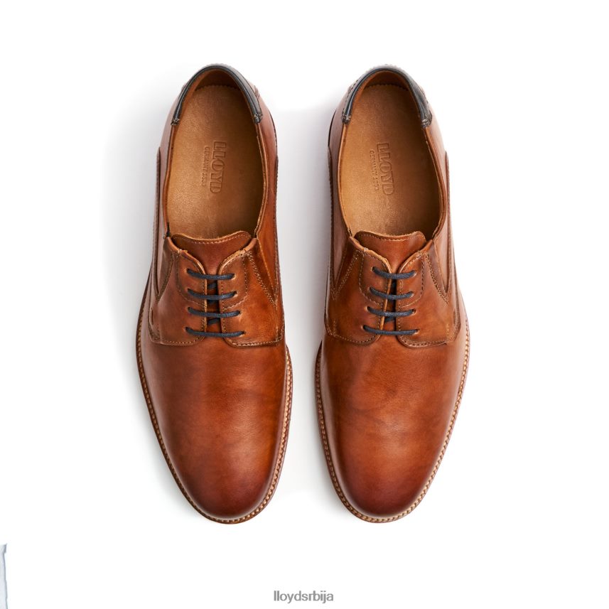 казан (ктравиде) мушкарци D0806T110 ципеле браон LLOYD