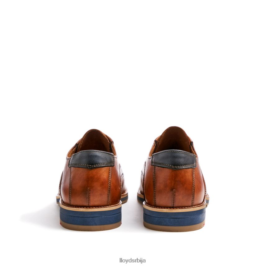 казан (ктравиде) мушкарци D0806T110 ципеле браон LLOYD