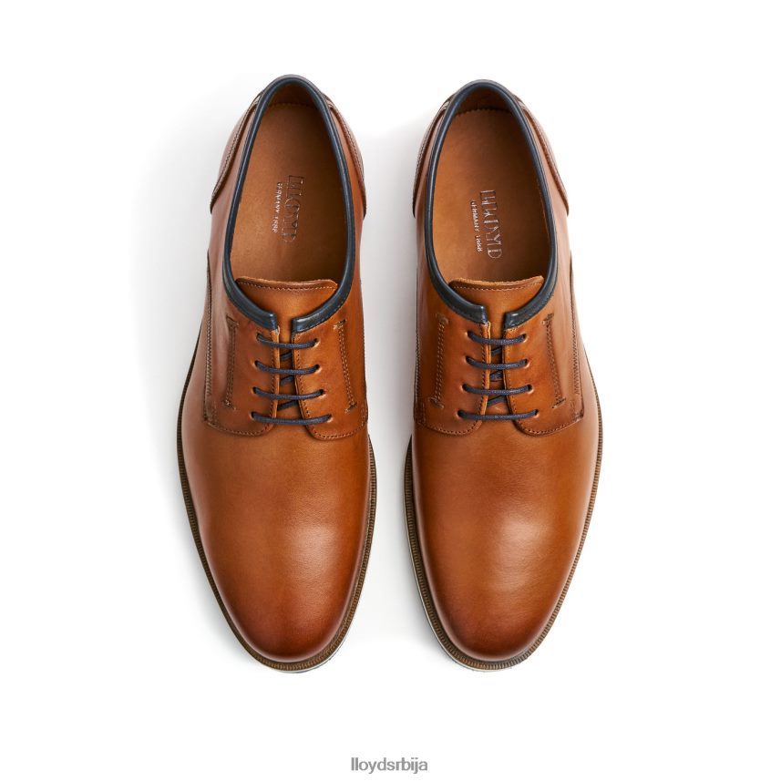 детроит мушкарци D0806T113 ципеле браон LLOYD