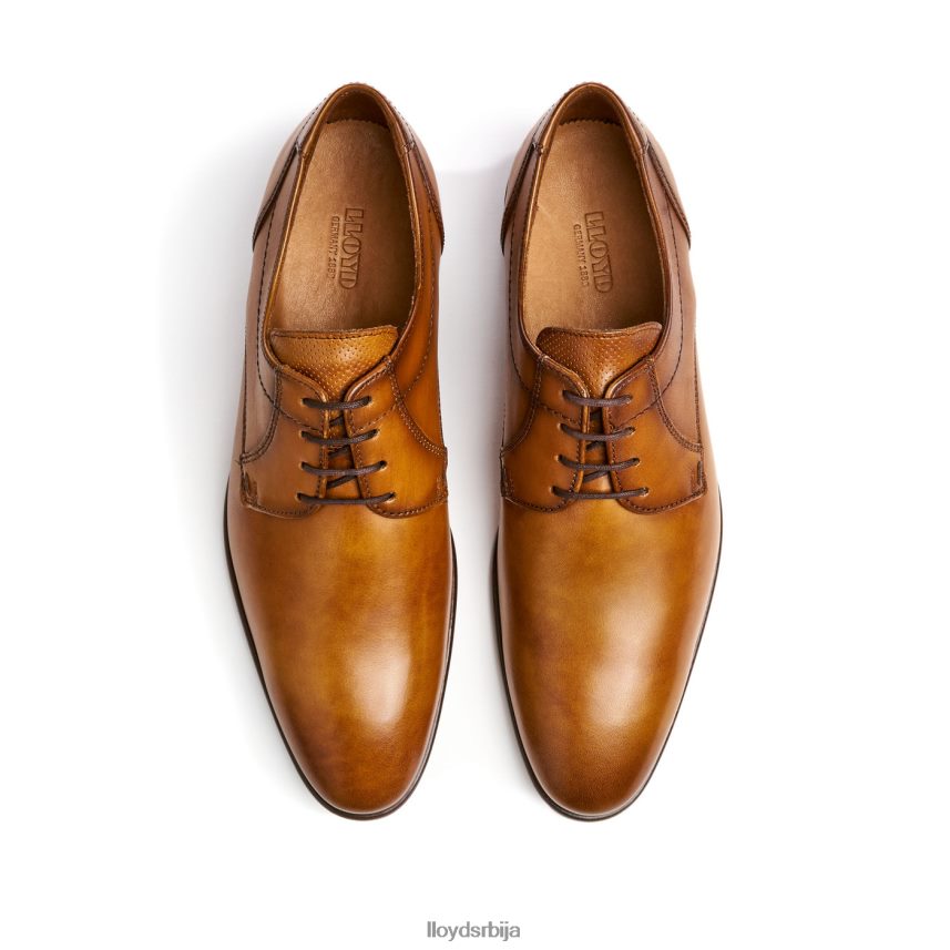 манон мушкарци D0806T118 ципеле браон LLOYD