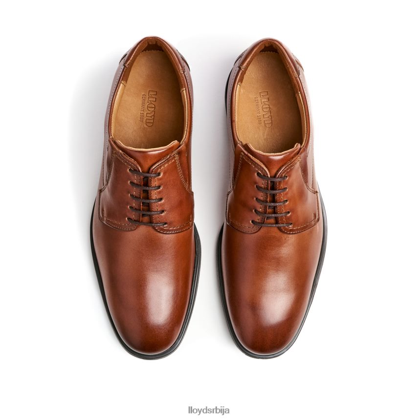 Кентаки (ктравиде) мушкарци D0806T120 ципеле браон LLOYD