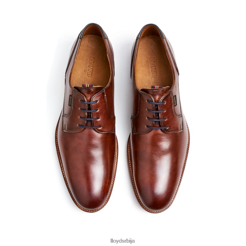 вицкерс мушкарци D0806T122 ципеле браон LLOYD