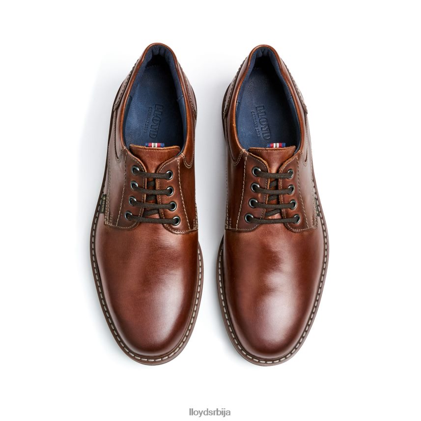 вања мушкарци D0806T125 ципеле браон LLOYD