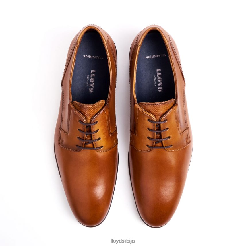 задржати мушкарци D0806T129 ципеле браон LLOYD