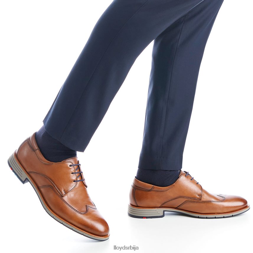 таилор мушкарци D0806T1325 ципеле браон LLOYD