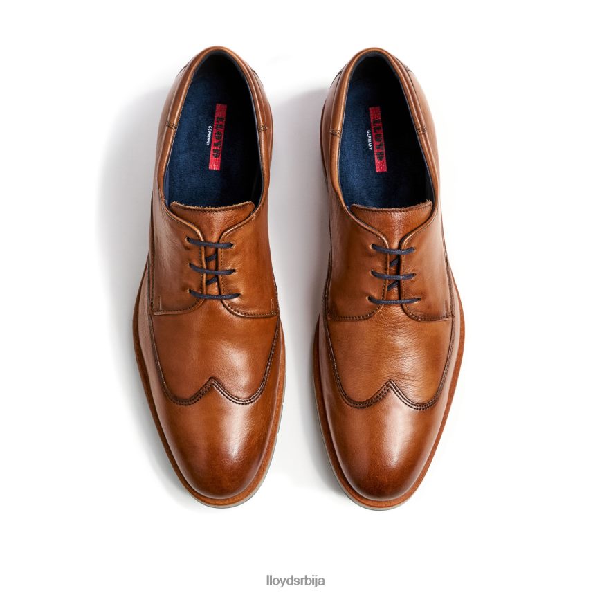 таилор мушкарци D0806T1325 ципеле браон LLOYD