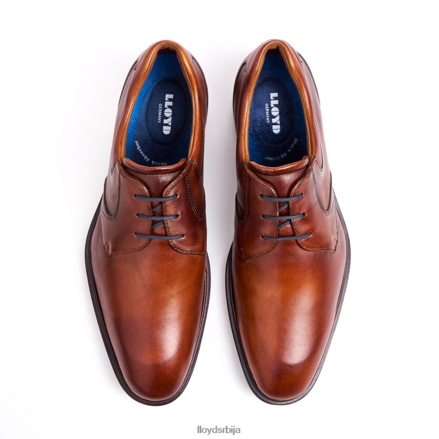 монти мушкарци D0806T134 ципеле браон LLOYD